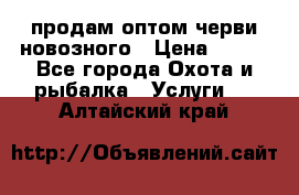 продам оптом черви новозного › Цена ­ 600 - Все города Охота и рыбалка » Услуги   . Алтайский край